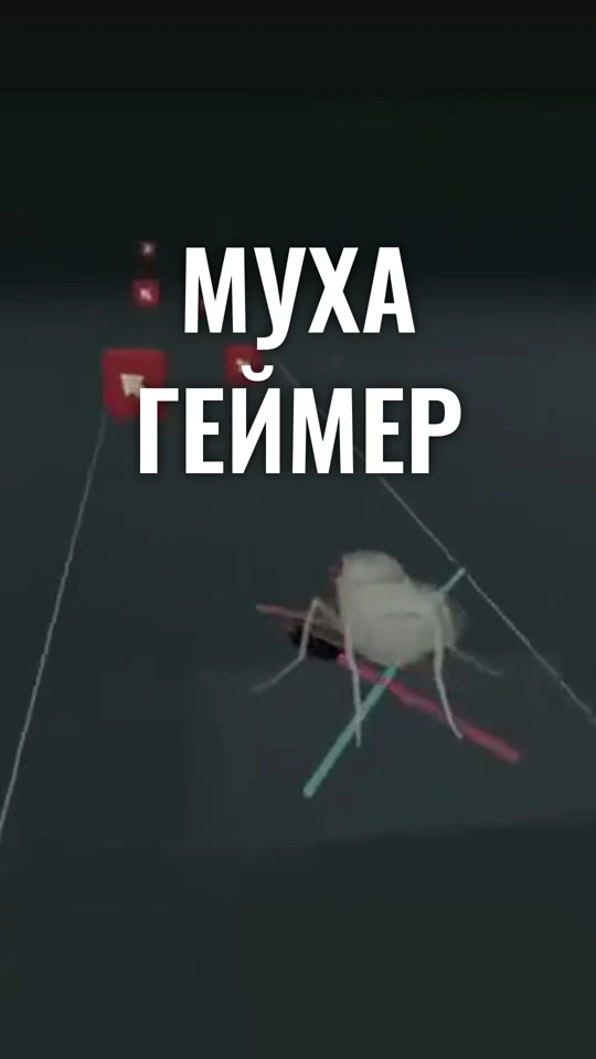 Обложка ролика «Муха-геймер»